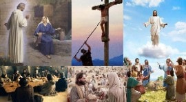 Mateusza Studium Księgi