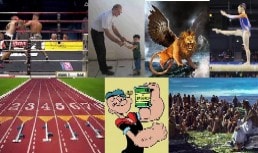 TimotheusTymoteus Studium Księgi